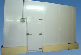 porta camara frigorifica